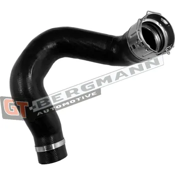 Turbodmychadlo Hadice plnícího vzduchu GT BERGMANN GT52-821