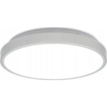 Kulatý Stropní Svítidlo NS-Lighting 29 x 7 cm šedá