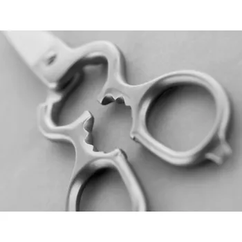 Kuchyňské nůžky WÜSTHOF Kuchyňské nůžky stříbrné, délka 20 cm