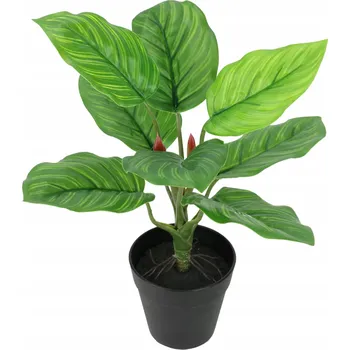 umělá květina UMĚLÁ ROSTLINA MARANTA V KVĚTINÁČI ZELENÁ DEKORACE