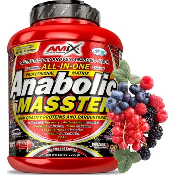 Protein GAINERY PRO NABRÁNÍ HMOTY CFM Protein Kreatin Sacharidy AMIX ANABOLIC MASSTER Lesní Ovoce