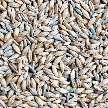 Chov hospodářského zvířete Ječmen 25 kg (papírový pytel)