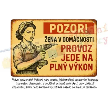 Plechová cedule cedule - žena v domácnosti 1 - Plast / A5 ( 20x15cm)