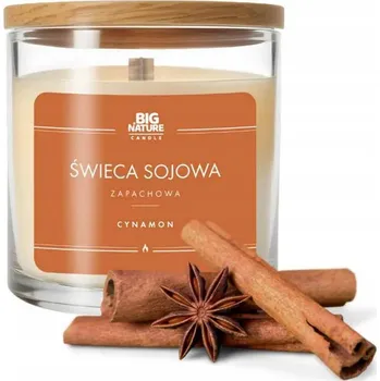 Svíčka Sójová vonná svíčka SKOŘICE Big Nature