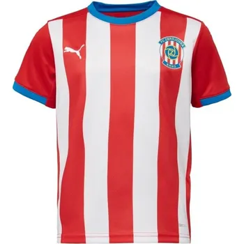 Fotbal Dětský fotbalový dres Puma FC ZBROJOVKA BRNO JR HOME JERSEY 128 Červená, Bílá, Mix