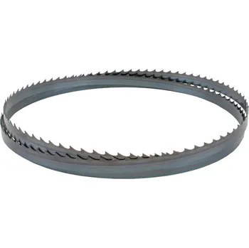 Pilový pás "IGM Carbon FORCE HOOK Pilový pás 3976mm - 19 x 0,8mm 2TPi"