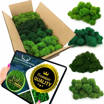 Obraz Dekorativní mech chrobotek sobí 300 g mix 4 barev v kartonu