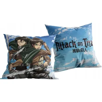 Polštář Polštář 40 x 40 cm