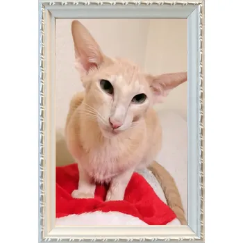 Obraz Rámeček na jednu fotografii Marek i Darek 23 x 15 cm