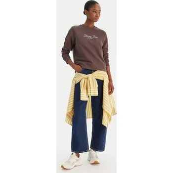 Pánská móda Tommy Jeans Mikina Essential DW0DW21922 Hnědá Regular Fit S