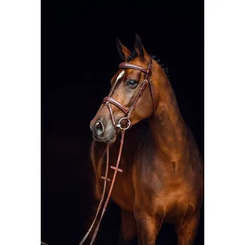 Uzdečka Horze Sion s otěžemi Hnědá PONY