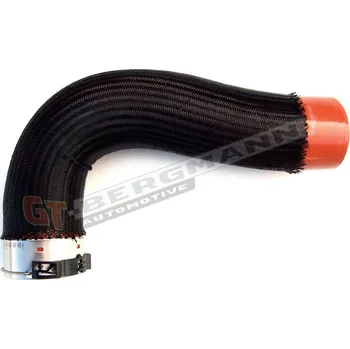 Turbodmychadlo Hadice plnícího vzduchu GT BERGMANN GT52-168