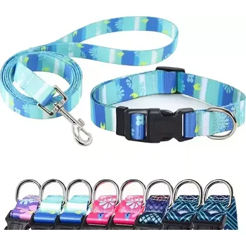 Obojek pro psa Psí obojek se sadou vodítka – Nastavitelný, polyesterový - Tyrkysová , L