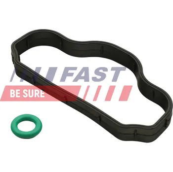 Spojovací materiál motoru Těsnění, šrouby krytu hlavy válce FAST FT48302