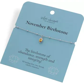 Náramek Stříbrný náramek Hot Diamonds Silver Whisper November SWB035