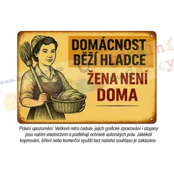Plechová cedule cedule - žena v domácnosti 5 - Plast / A5 ( 20x15cm)