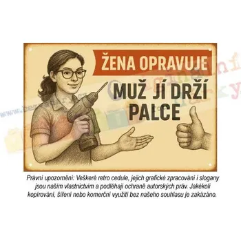 Plechová cedule cedule - žena v domácnosti 6 - Plast / A5 ( 20x15cm)