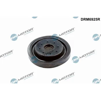 Motor automobilu Reparatursatz, Kurbelgehäuseentlüftung Dr.Motor Automotive DRM6925R