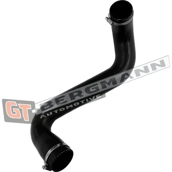Turbodmychadlo Hadice plnícího vzduchu GT BERGMANN GT52-813