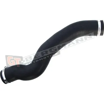 Turbodmychadlo Hadice plnícího vzduchu GT BERGMANN GT52-187