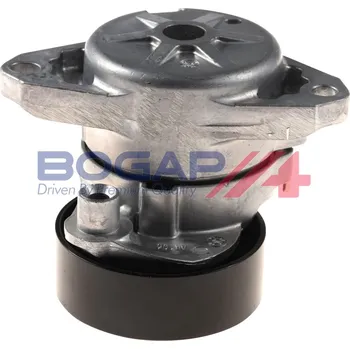 Rozvod motoru Napínák žebrovaného klínového řemenu BOGAP C1317104