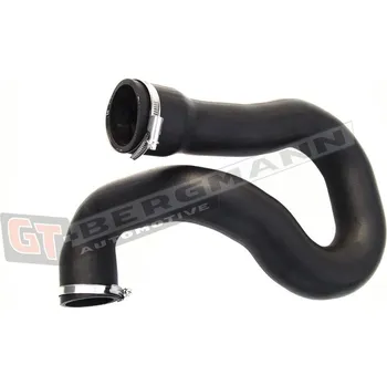 Turbodmychadlo Hadice plnícího vzduchu GT BERGMANN GT52-189