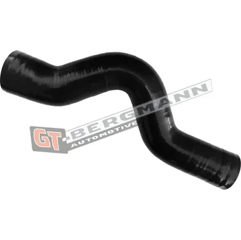 Turbodmychadlo Hadice plnícího vzduchu GT BERGMANN GT52-687