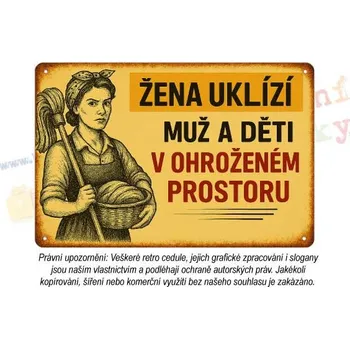 Plechová cedule cedule - žena v domácnosti 2 - Plast / A5 ( 20x15cm)
