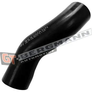 Turbodmychadlo Hadice plnícího vzduchu GT BERGMANN GT52-795