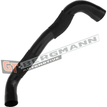 Turbodmychadlo Hadice plnícího vzduchu GT BERGMANN GT52-272