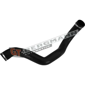 Turbodmychadlo Hadice plnícího vzduchu GT BERGMANN GT52-163