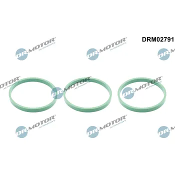 Motor automobilu Těsnění sacího potrubí - koleno Dr.Motor Automotive DRM02791