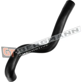 Turbodmychadlo Hadice plnícího vzduchu GT BERGMANN GT52-655