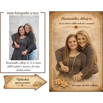 Plechová cedule Retro cedule - pro kamarádku - Plast / A5 ( 20x15cm)