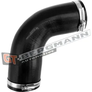 Turbodmychadlo Hadice plnícího vzduchu GT BERGMANN GT52-650
