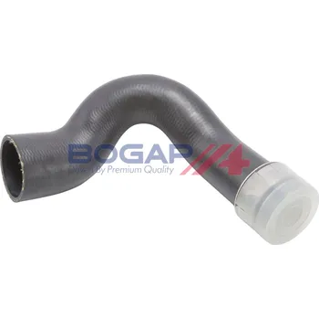 Turbodmychadlo Hadice plnícího vzduchu BOGAP A1711349