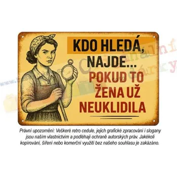 Plechová cedule cedule - žena v domácnosti 3 - Plast / A5 ( 20x15cm)