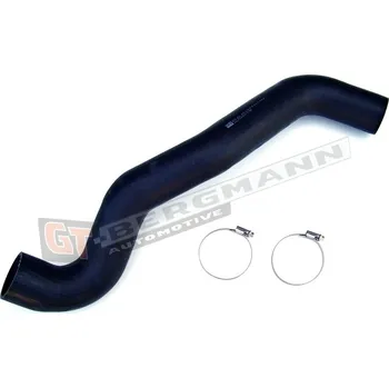 Turbodmychadlo Hadice plnícího vzduchu GT BERGMANN GT52-079