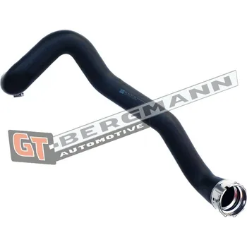 Turbodmychadlo Hadice plnícího vzduchu GT BERGMANN GT52-222