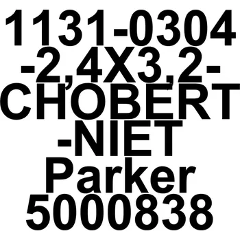1131-0304-2,4X3,2-CHOBERT-NIET Parker 5000838