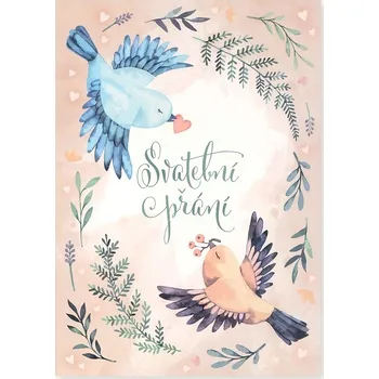 Albi Hrací přání SVATEBNÍ PŘÁNÍ / Circle of Life (cover verze) 6680574