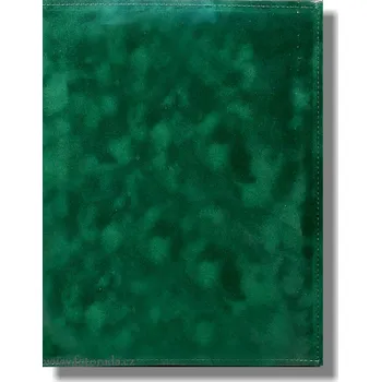 Fotoalbum Fotoalbum samolepicí 50stran FS-50 SEMIŠOVÉ zelené 6404585