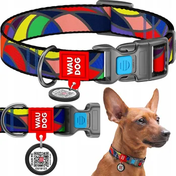 Obojek pro psa Obojek pro psa Waudog vel. S