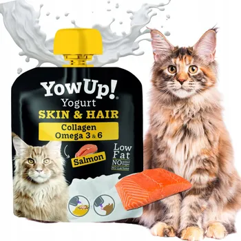 Krmivo pro kočku PAMLSEK PRO KOČKY pamlsek na kůži a srst s lososem bez laktózy Yow Up! 85g