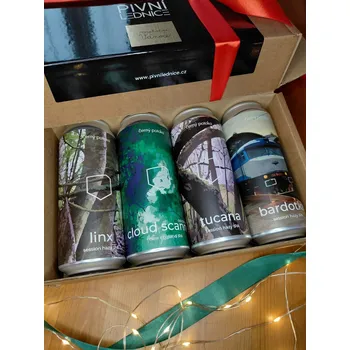 Pivo Černý potoka Balíček 4x0,5l