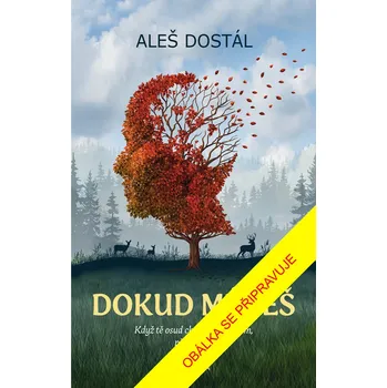 Dokud můžeš