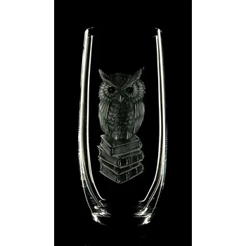 Stolování Sklenice 1ks na vodu 0,3l s rytinou sovy - ručně ryté (broušené), dárková krabička