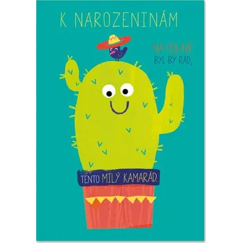 Ditipo Hrací přání CHLUPATÝ KAKTUS / Jiří Korn 6680472