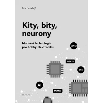 Kniha Kity, bity, neurony
