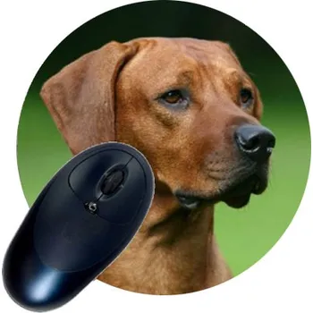 Podložka pod myš FOTODÁRKY: Podložka pod myš KRUHOVÁ s fotografií m070006